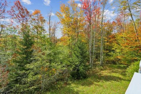113 Ash Lodge Court Davis WV 26260