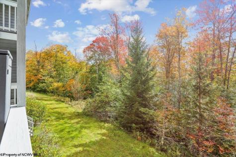 113 Ash Lodge Court Davis WV 26260