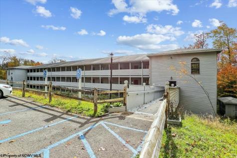 113 Ash Lodge Court Davis WV 26260