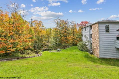 113 Ash Lodge Court Davis WV 26260