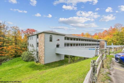 113 Ash Lodge Court Davis WV 26260