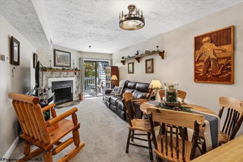 113 Ash Lodge Court Davis WV 26260