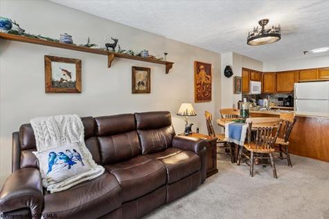 113 Ash Lodge Court Davis WV 26260
