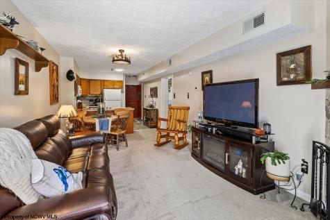 113 Ash Lodge Court Davis WV 26260