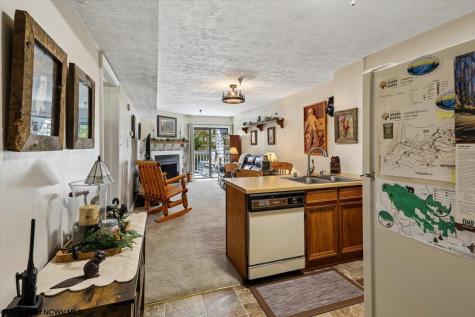 113 Ash Lodge Court Davis WV 26260