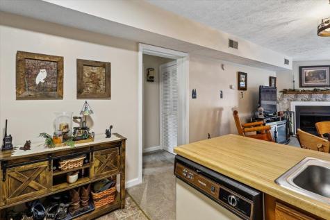 113 Ash Lodge Court Davis WV 26260