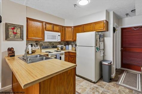 113 Ash Lodge Court Davis WV 26260