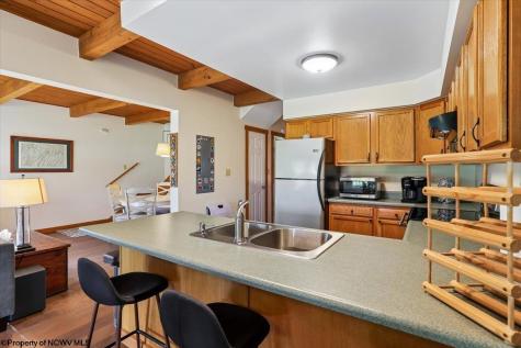 33 Cirrus Drive Davis WV 26260