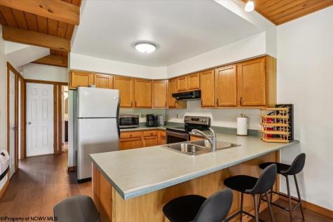 33 Cirrus Drive Davis WV 26260