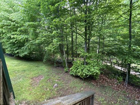 41 Snowflake Circle Davis WV 26260