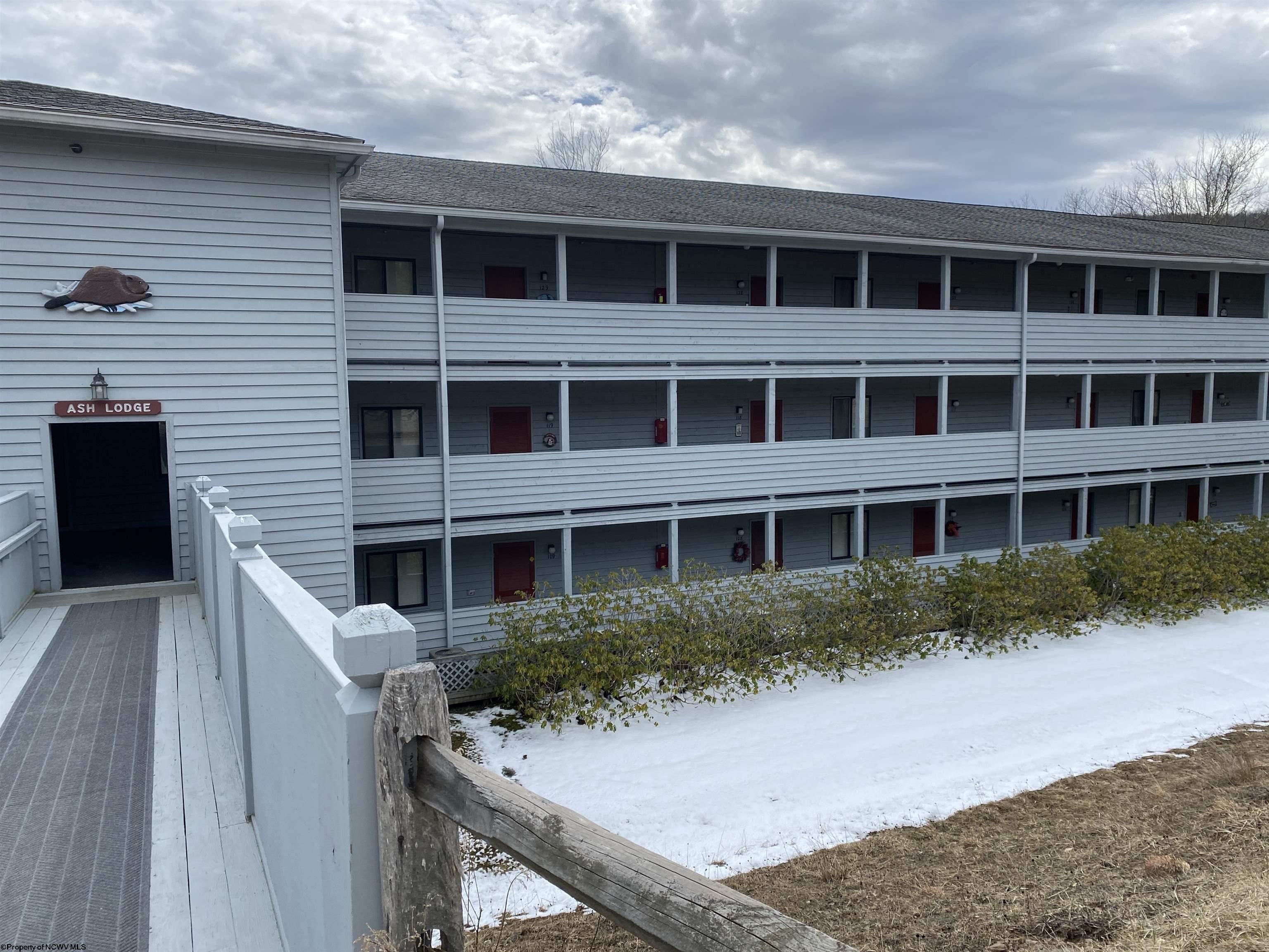 31 Ash Lodge Court Davis WV 26260