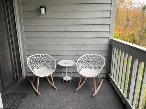 31 Ash Lodge Court Davis WV 26260