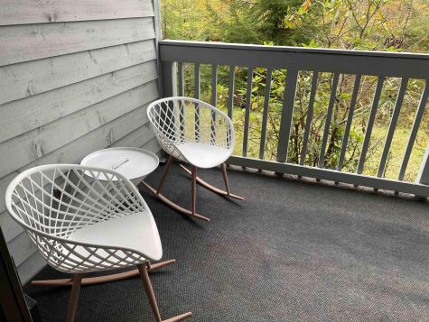 31 Ash Lodge Court Davis WV 26260