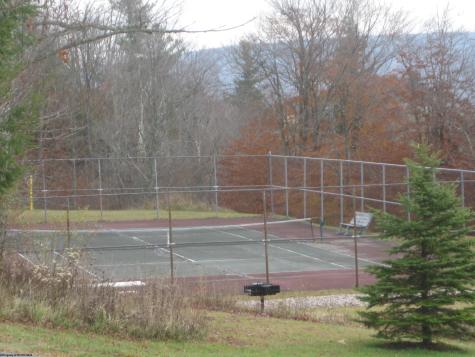 31 Ash Lodge Court Davis WV 26260