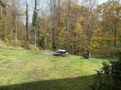 31 Ash Lodge Court Davis WV 26260