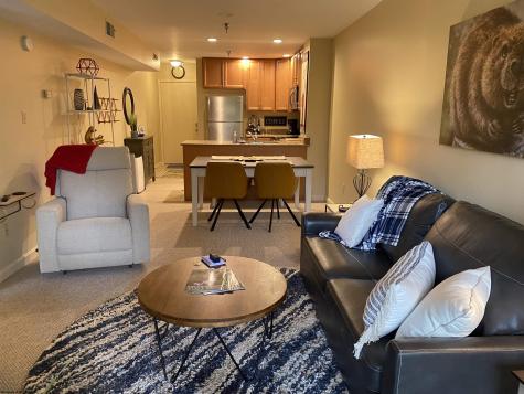 31 Ash Lodge Court Davis WV 26260