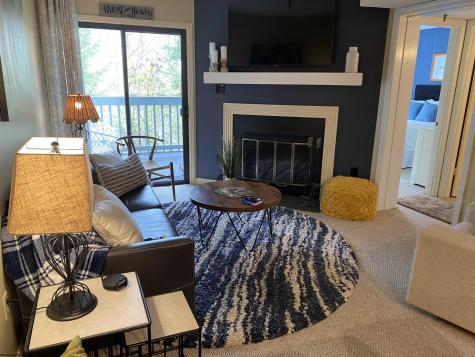 31 Ash Lodge Court Davis WV 26260