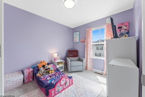 748 Mulligan Court Maidsville WV 26541