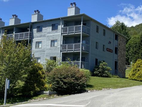 31 Court Davis WV 26260