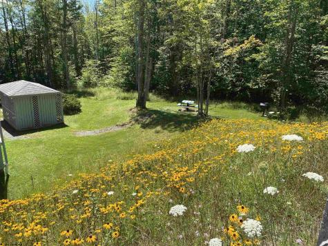 31 Court Davis WV 26260