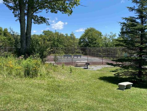 31 Court Davis WV 26260