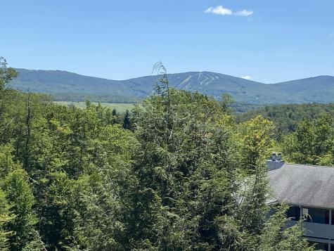 31 Court Davis WV 26260