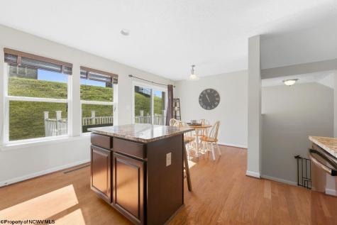 492 Watson Drive Maidsville WV 26541