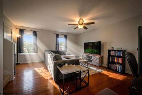 492 Watson Drive Maidsville WV 26541