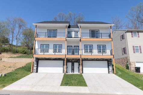 65 Hall Valley Court Bridgeport WV 26330