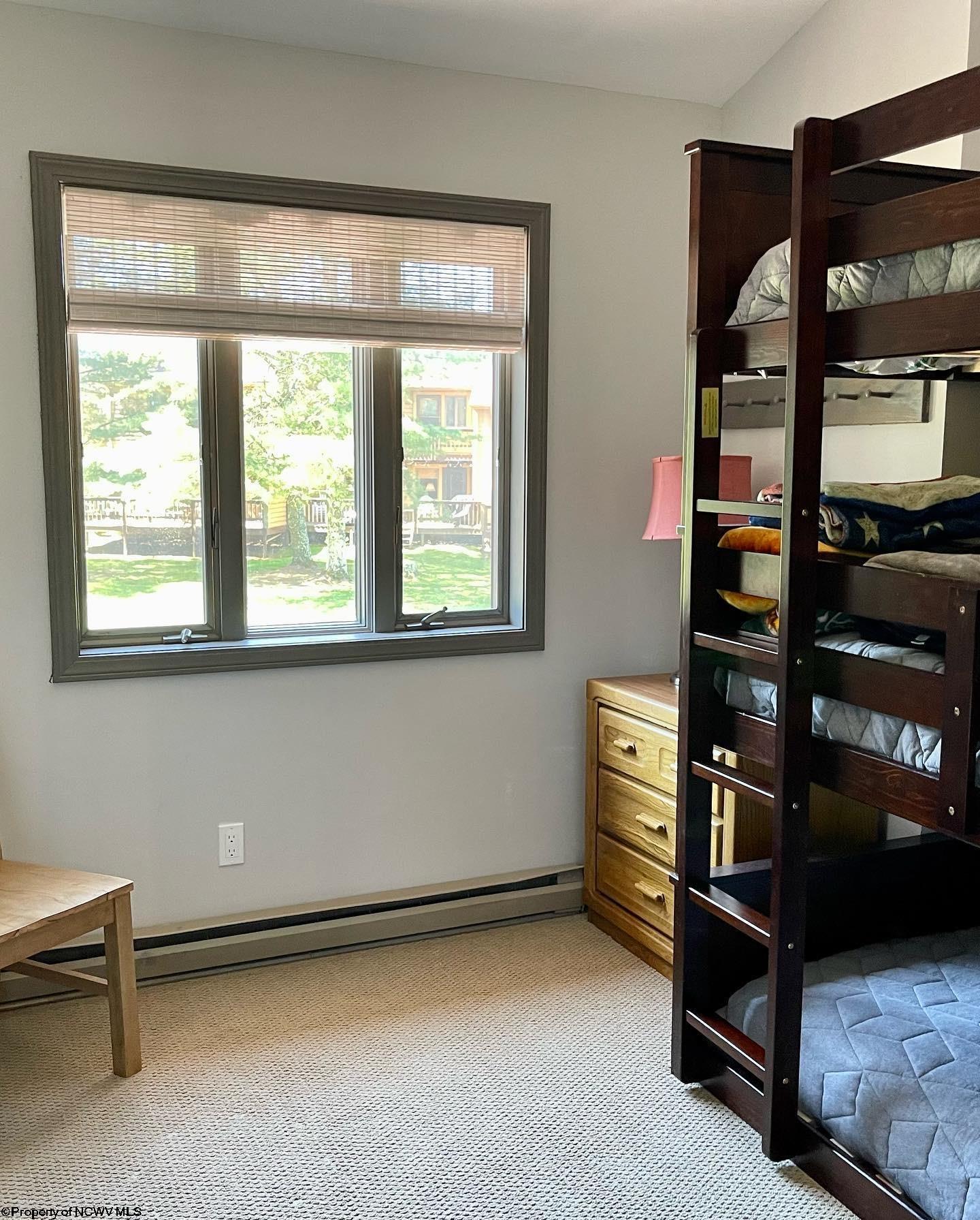 52 Deerfield Village Davis WV 26260