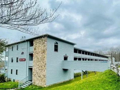 1113 Beaver Ridge Davis WV 26260