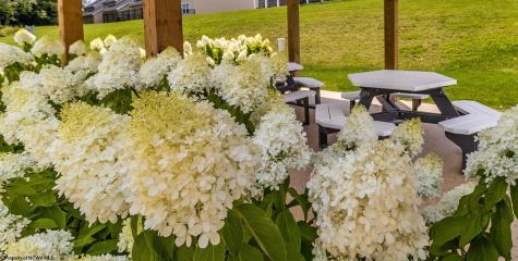 266 Red Oak Lane Morgantown WV 26501