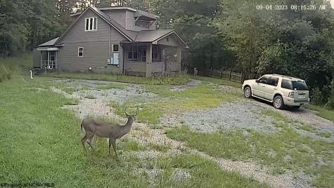 5055 Maxwell Ridge Road West Union WV 26456