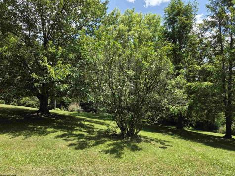 49 Price Hill Road Morgantown WV 26501-2319
