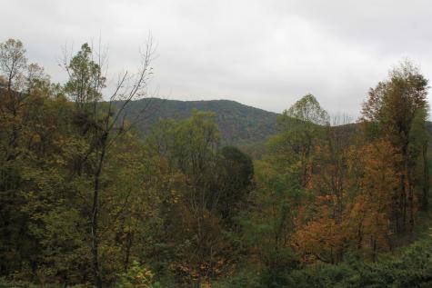 455 Cherry Falls Road Webster Springs WV 26288