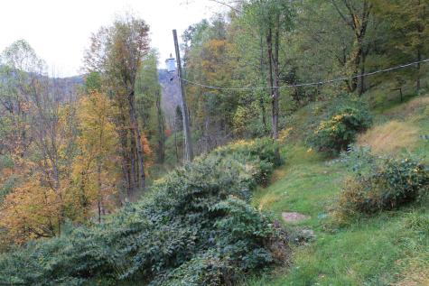 455 Cherry Falls Road Webster Springs WV 26288