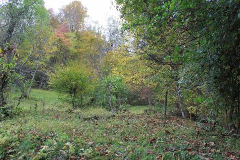 455 Cherry Falls Road Webster Springs WV 26288