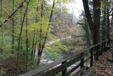 455 Cherry Falls Road Webster Springs WV 26288