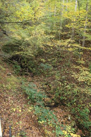 455 Cherry Falls Road Webster Springs WV 26288