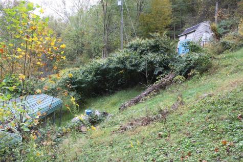 455 Cherry Falls Road Webster Springs WV 26288