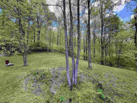 804 Jewelweed Road Bristol WV 26426