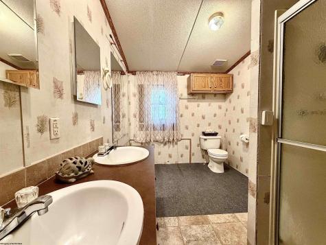 804 Jewelweed Road Bristol WV 26426