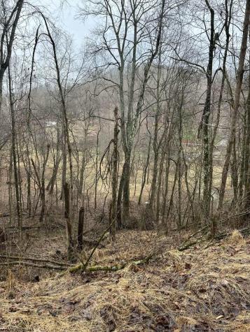 299 Foxstone Drive Buckhannon WV 26201