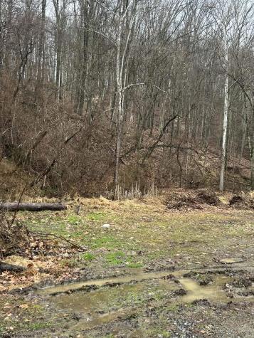 299 Foxstone Drive Buckhannon WV 26201