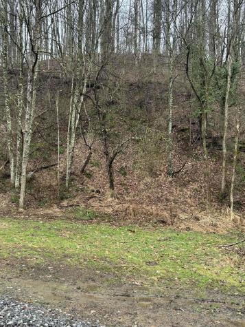 299 Foxstone Drive Buckhannon WV 26201