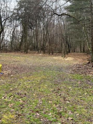 299 Foxstone Drive Buckhannon WV 26201