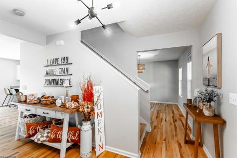 195 Furfin Road Bruceton Mills WV 26525