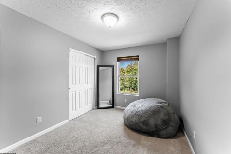 195 Furfin Road Bruceton Mills WV 26525