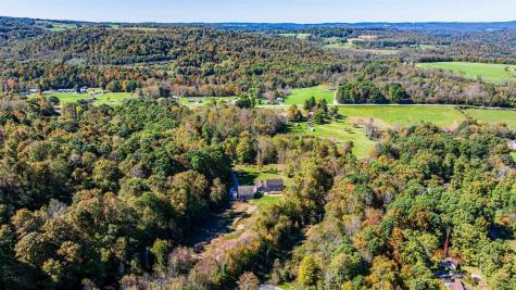 195 Furfin Road Bruceton Mills WV 26525