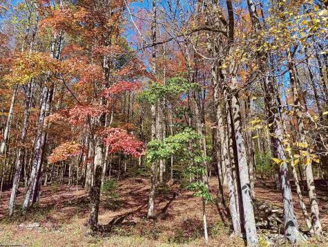 61 Smith Bridge Road Helvetia WV 26224